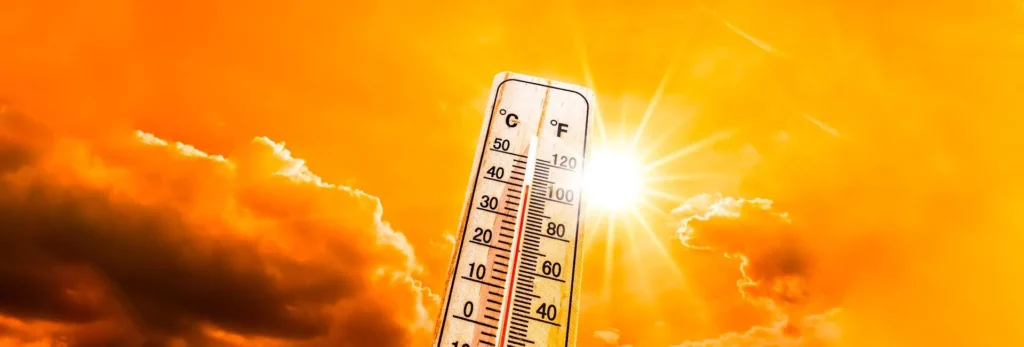 Plan canicule