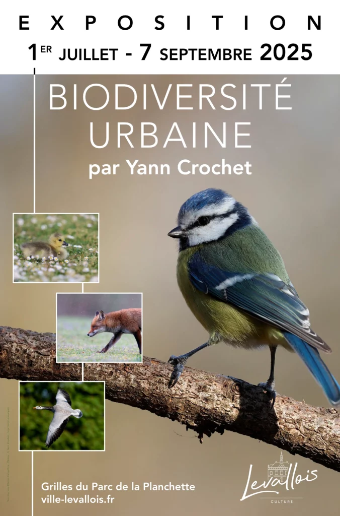 Levallois EXPO YANN CROCHET