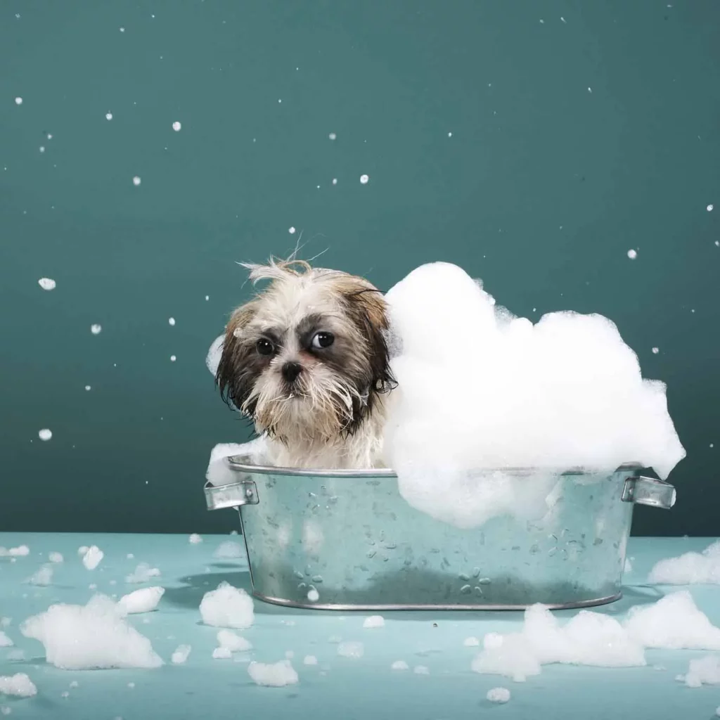 ah ! c'qu'on est bien dans son bain