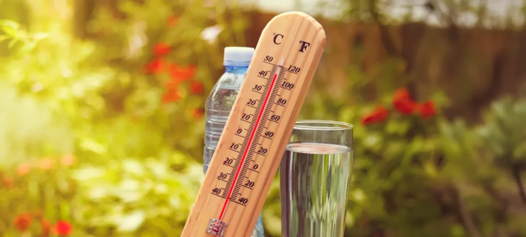 header canicule