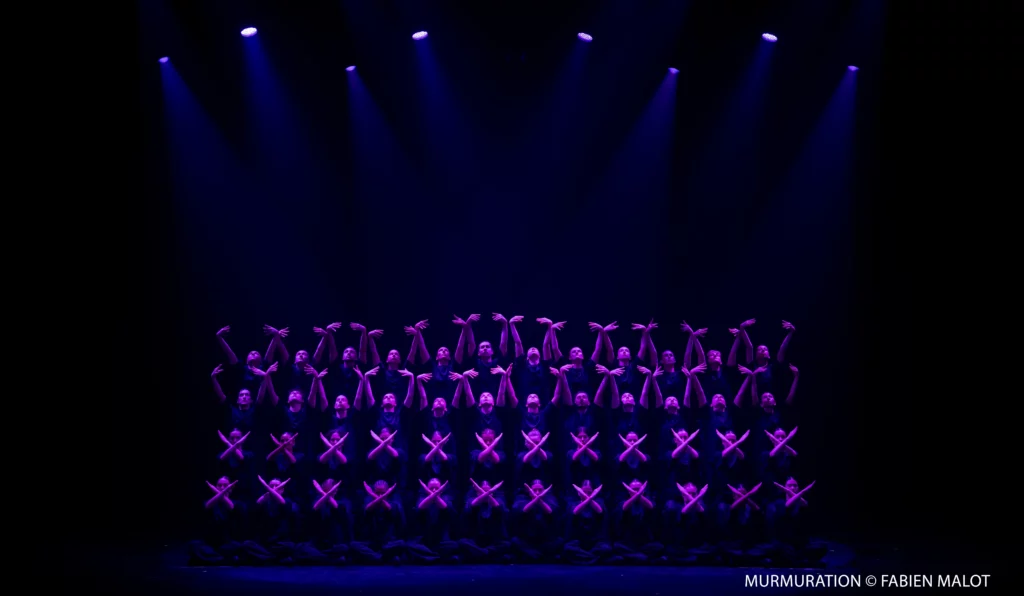 12.19 Murmuration 2 c Fabien Malot copie
