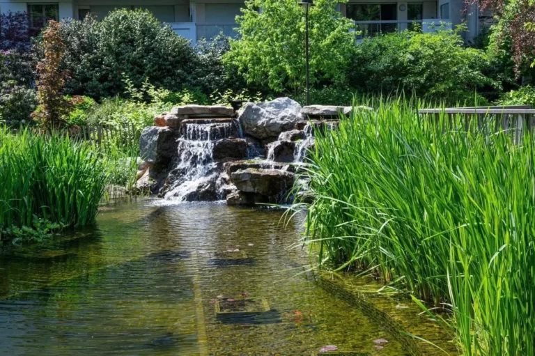 Levallois - BASSIN ECO