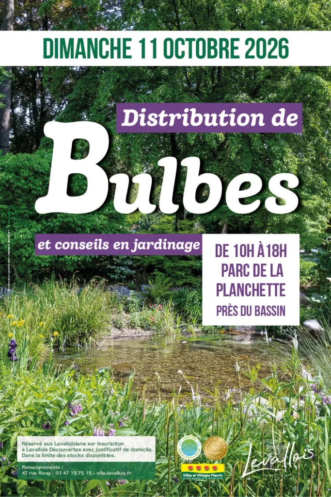 Levallois DISTRIBUTION BULBES 26