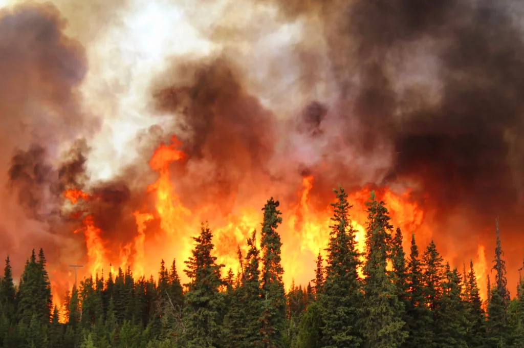 Levallois incendies subvention exceptionnelle